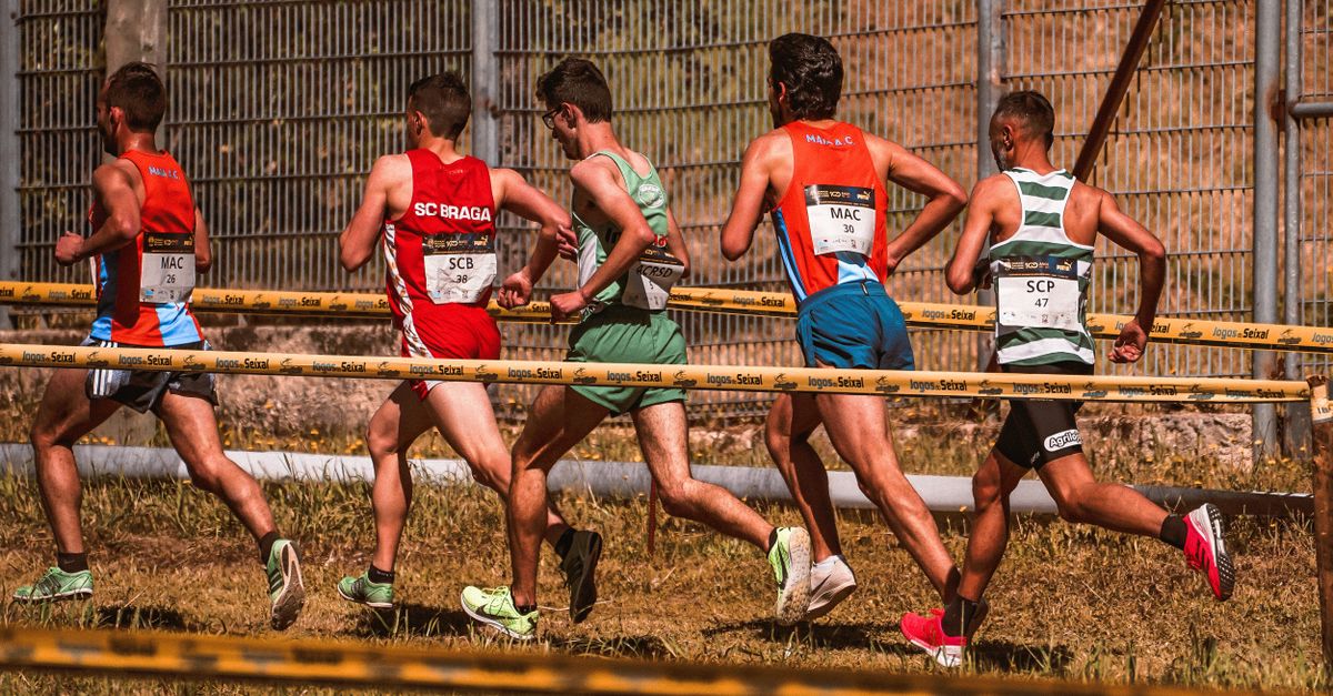 A team of male athletes competing in an outdoor cross-country race on a sunny day.