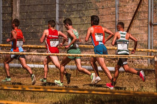 A team of male athletes competing in an outdoor cross-country race on a sunny day. — photo by RUN 4 FFWPU