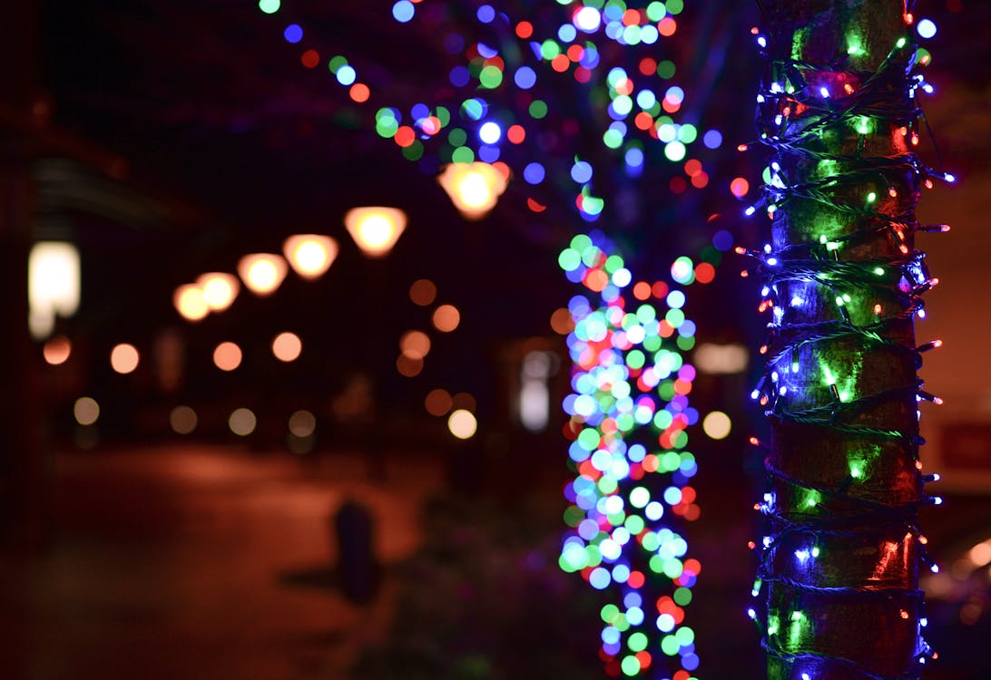 Free Illuminated Christmas Lights at Night Stock Photo