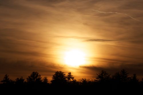 Free A tranquil sunset with silhouetted trees under a dramatic cloud-filled sky, exuding warmth and calm. Stock Photo