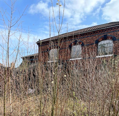 Photos gratuites de abandonné, bâtiment abandonné, envahi par la végétation