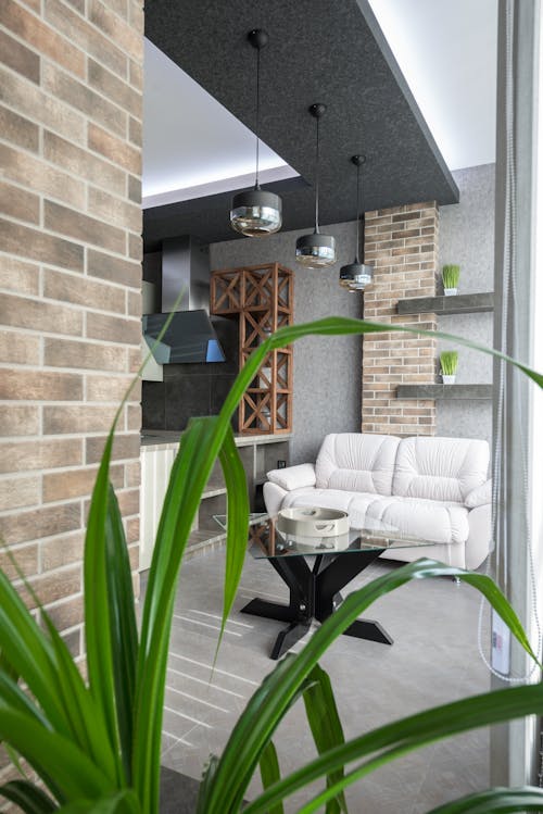 White leather sofa placed at table near modern kitchen counter in light stylish apartment with decorative elements and green plant