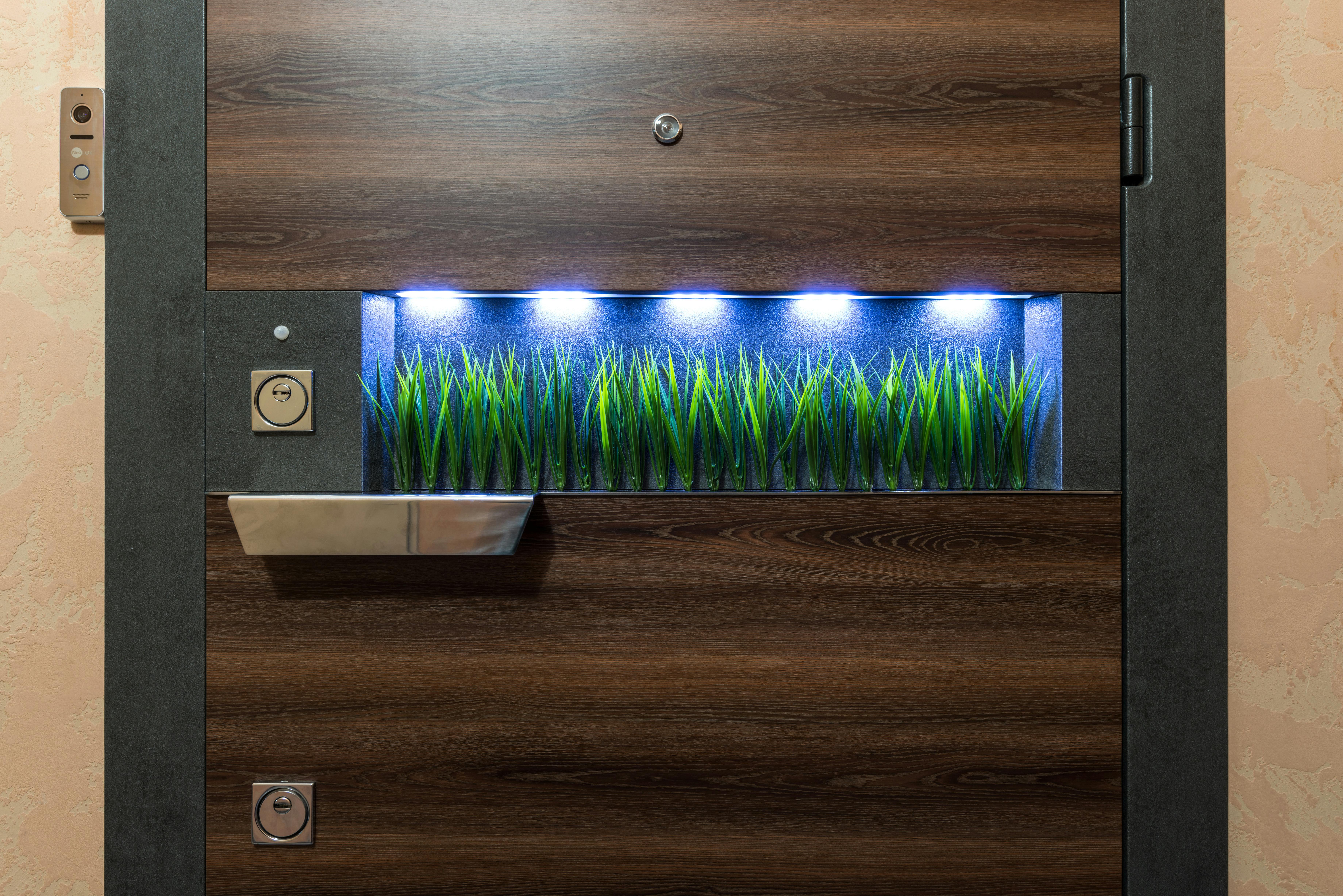 Free Wooden door with lock and metal handle near creative decorative green vegetation under bright illumination in light room of modern apartment Stock Photo