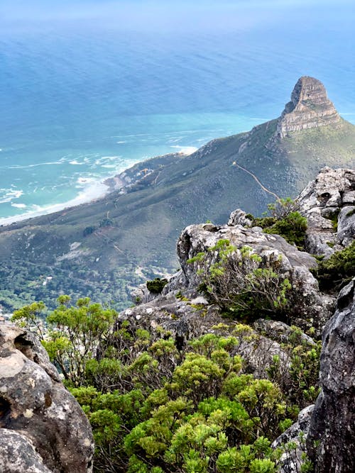 Δωρεάν στοκ φωτογραφιών με Cape town, τραπέζι βουνό