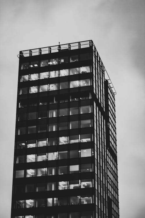 Free 

A Grayscale of a Tall Building Stock Photo