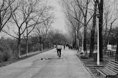 Free Person Riding Bicycle on Concrete Road Near the Park Stock Photo