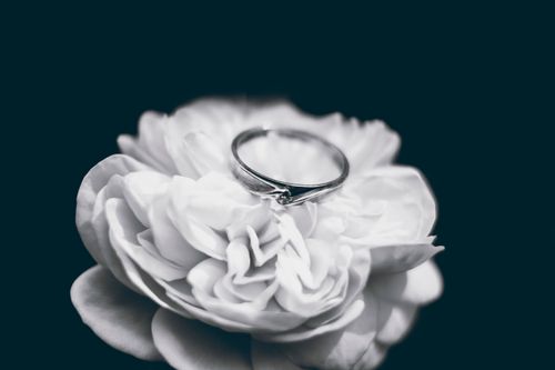 Free A beautiful silver ring placed delicately on a white rose, symbolizing romance and commitment. Stock Photo
