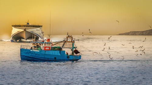 Bateau De Pêche Bleu