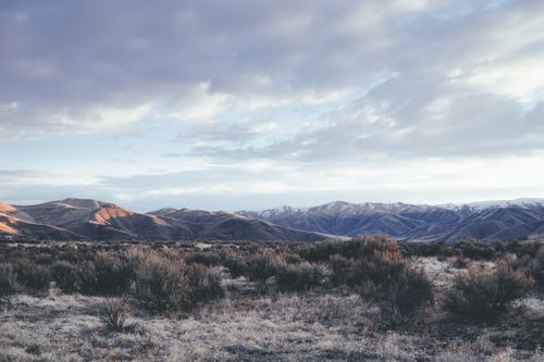Free Grassy field with various dry plants growing against rough mountain range with uneven surface and gray cloudy sky in nature Stock Photo