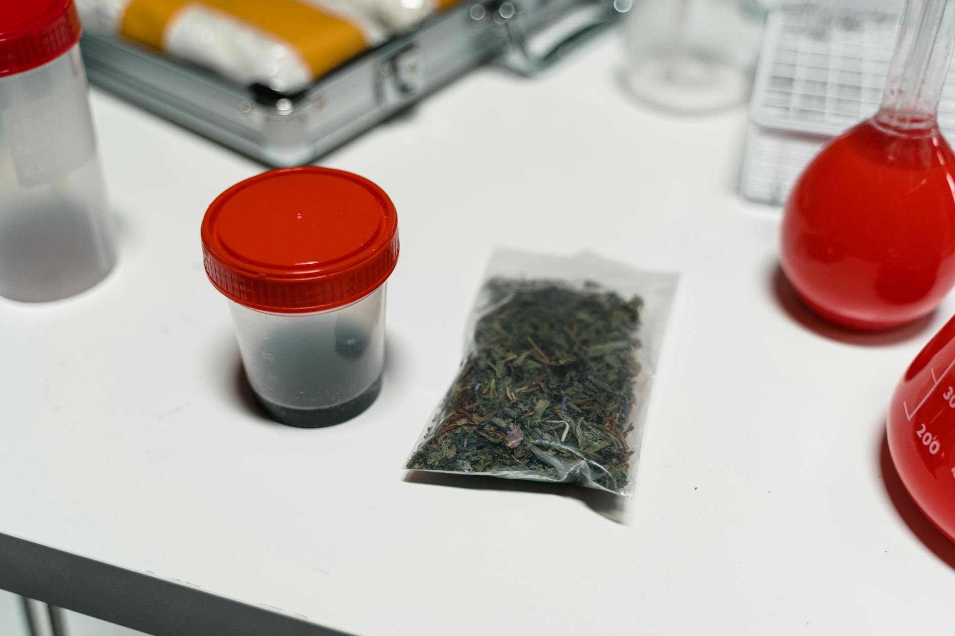 Pack of Herb Beside Plastic Container with Red Lid