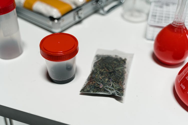 Pack Of Herb Beside Plastic Container With Red Lid