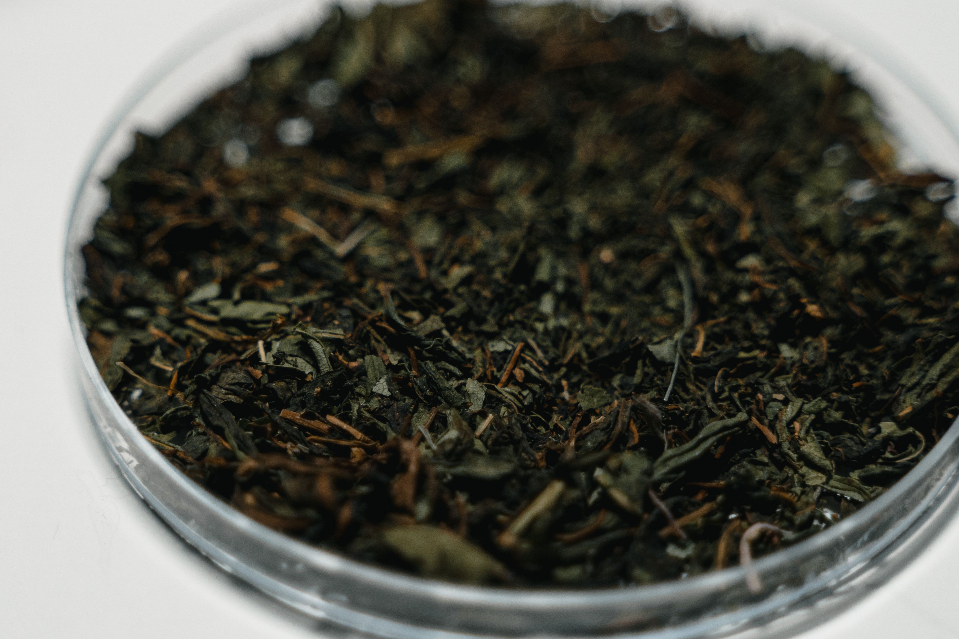 Detailed close-up of dried herbal leaves in a glass petri dish, perfect for medical or botanical use. - Evidence evidence guide for green tea cognition meta-analysis