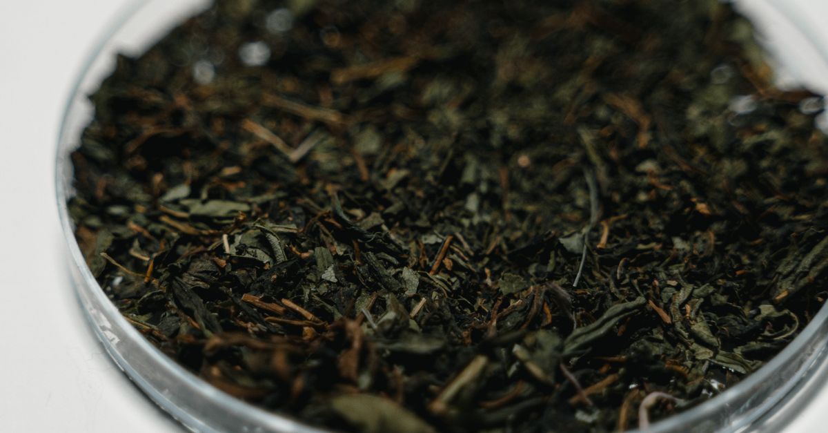 Detailed close-up of dried herbal leaves in a glass petri dish, perfect for medical or botanical use. - Evidence evidence guide for green tea cognition meta-analysis