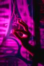 Persons Hand on Purple and Blue Light