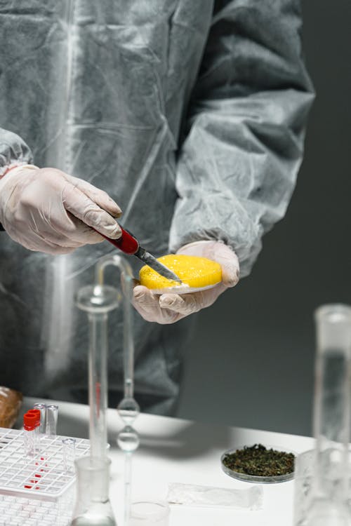 Free Drugs Substance Testing in a Laboratory Stock Photo