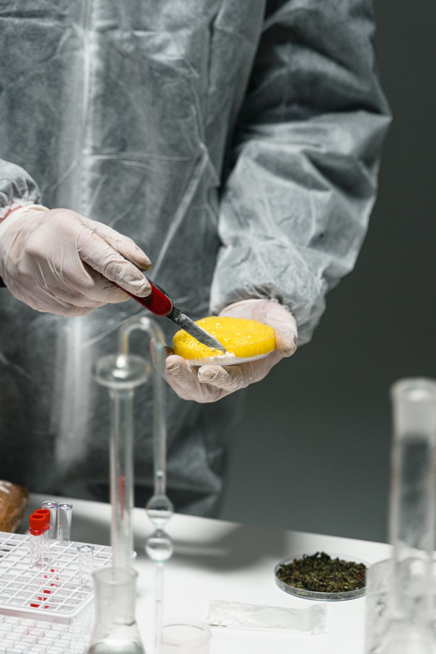 Analyst preparing a food sample for testing
