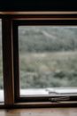Photo of an Insect on a Window