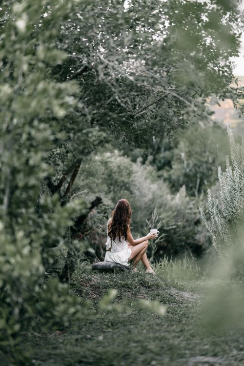 Free A woman in a white dress enjoys peaceful solitude in a lush forest setting. Stock Photo