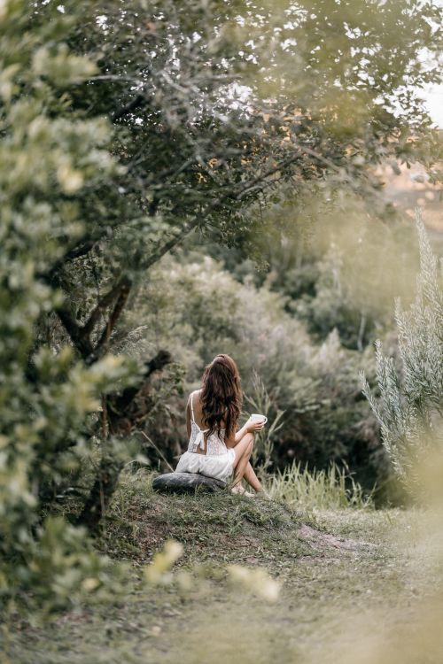 Free A woman sitting on grass, embracing nature's tranquility in a lush forest setting. Stock Photo