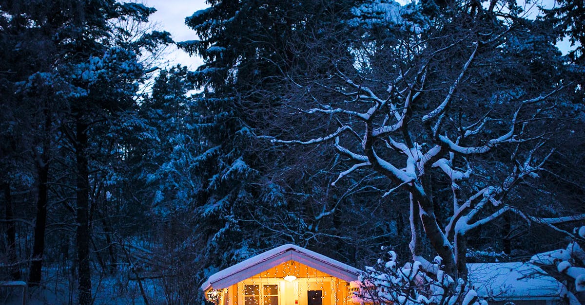 Free stock photo of cottage, cozy, dusk