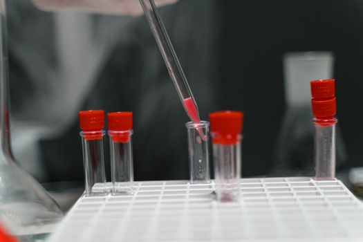 Close-up of pipette transferring liquid in laboratory test tubes.