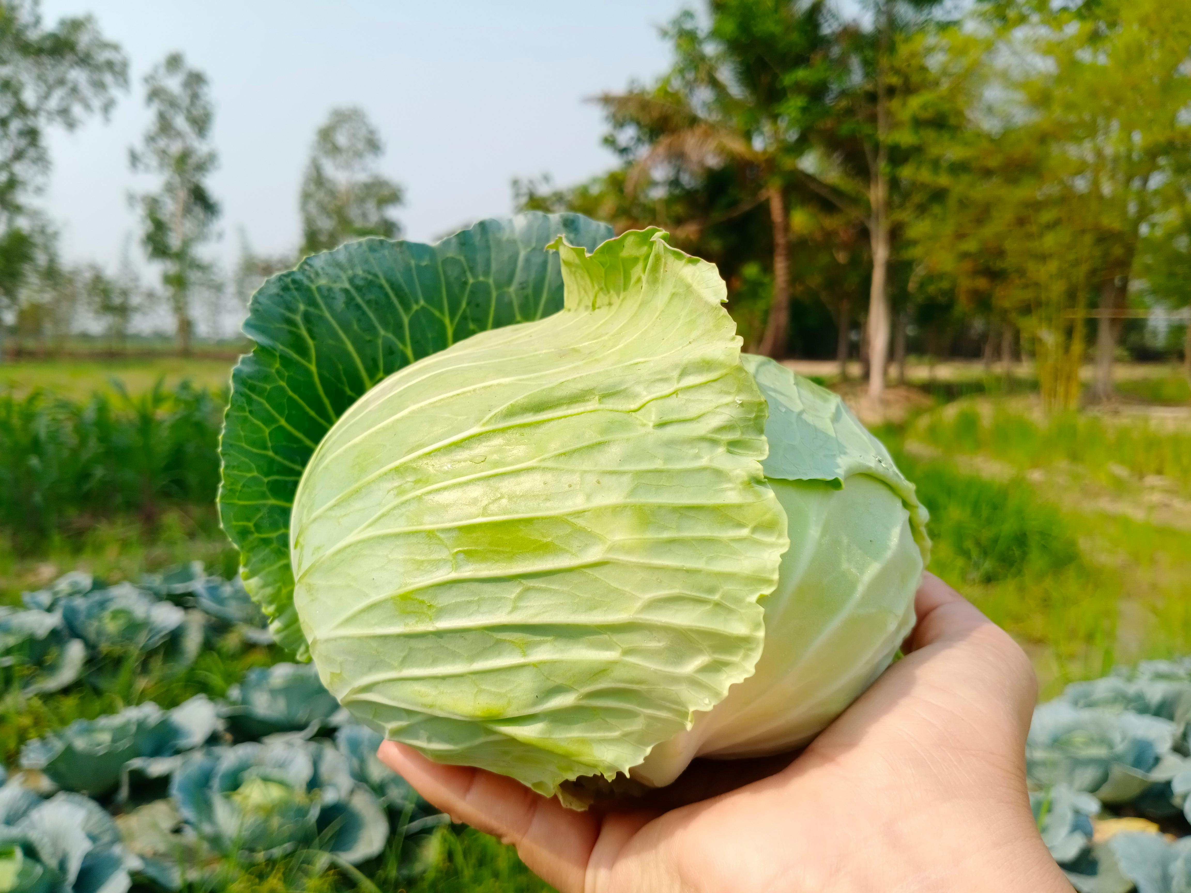 Troubleshooting Common Issues