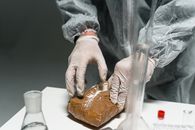 A Person Wearing a Latex Gloves Opening a Package