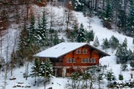 白雪覆盖的树木环绕着田园诗般的木制小屋，营造出宁静的冬季景观