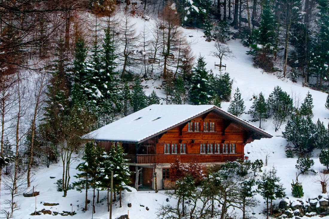 Wooden chalet surrounded by snow-covered trees