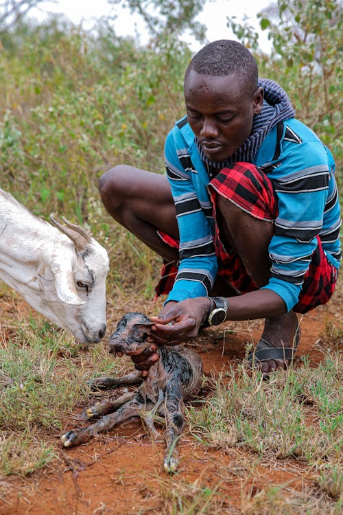 A Man Cleaning a Newly Born Kid