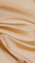 Wrinkled Silk Cloth