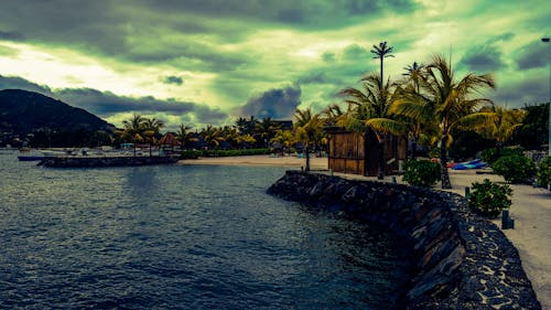 Scenic View of the Beach