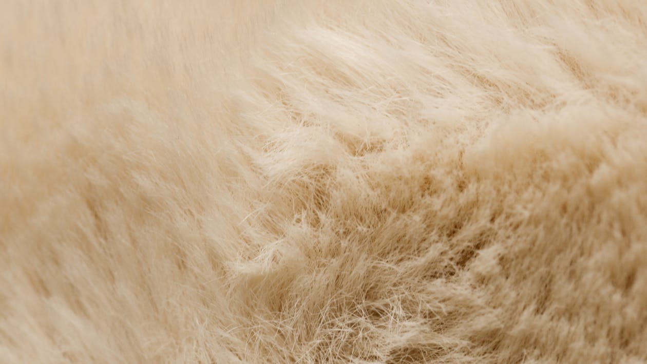 Cream Furry Textile 