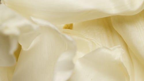 Close-Up Shot of a Yellow Textile