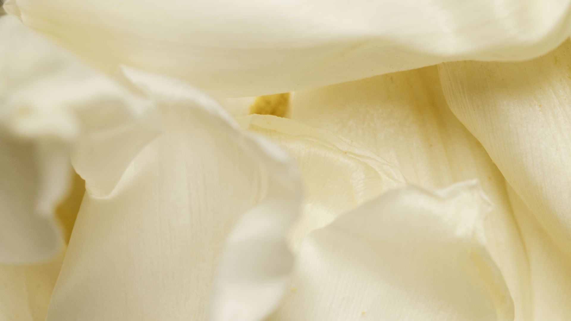 Close-Up Shot of a Yellow Textile
