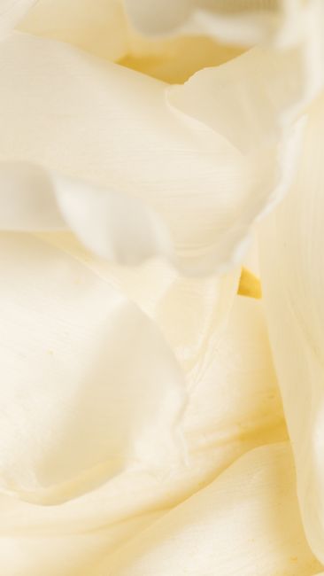 Close-up of delicate white petals showcasing a soft, creamy texture, perfect for romantic or decorative use.