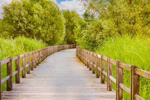 Gratis stockfoto met prachtig landschap