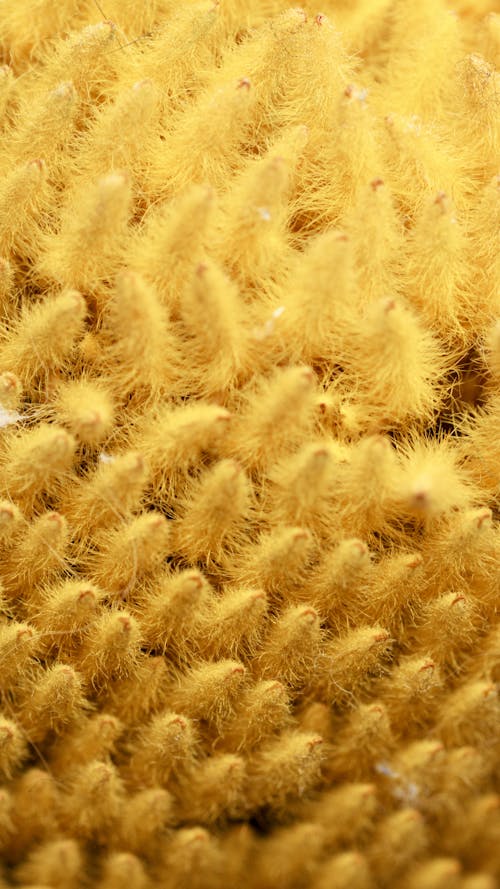 Woven Yellow Fabric In Close Up View