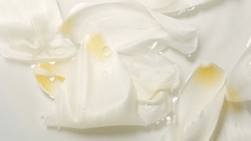 Abstract Background Of Fresh White Petals