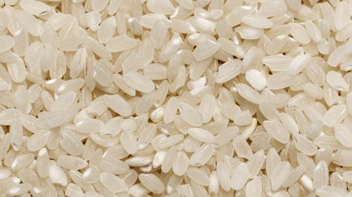 Free Close-Up Shot of Rice Grains Stock Photo