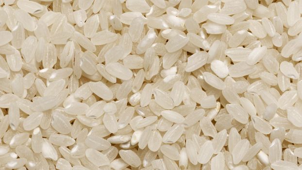 Detailed close-up image of raw organic white rice grains showcasing texture and abundance.