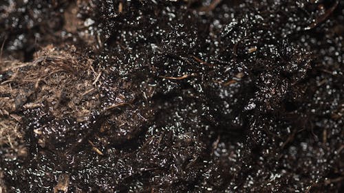 Macro Photography of Wet Soil