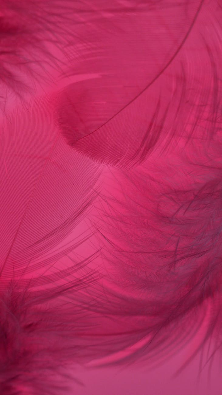 Pink Textile in Close Up Image · Free Stock Photo