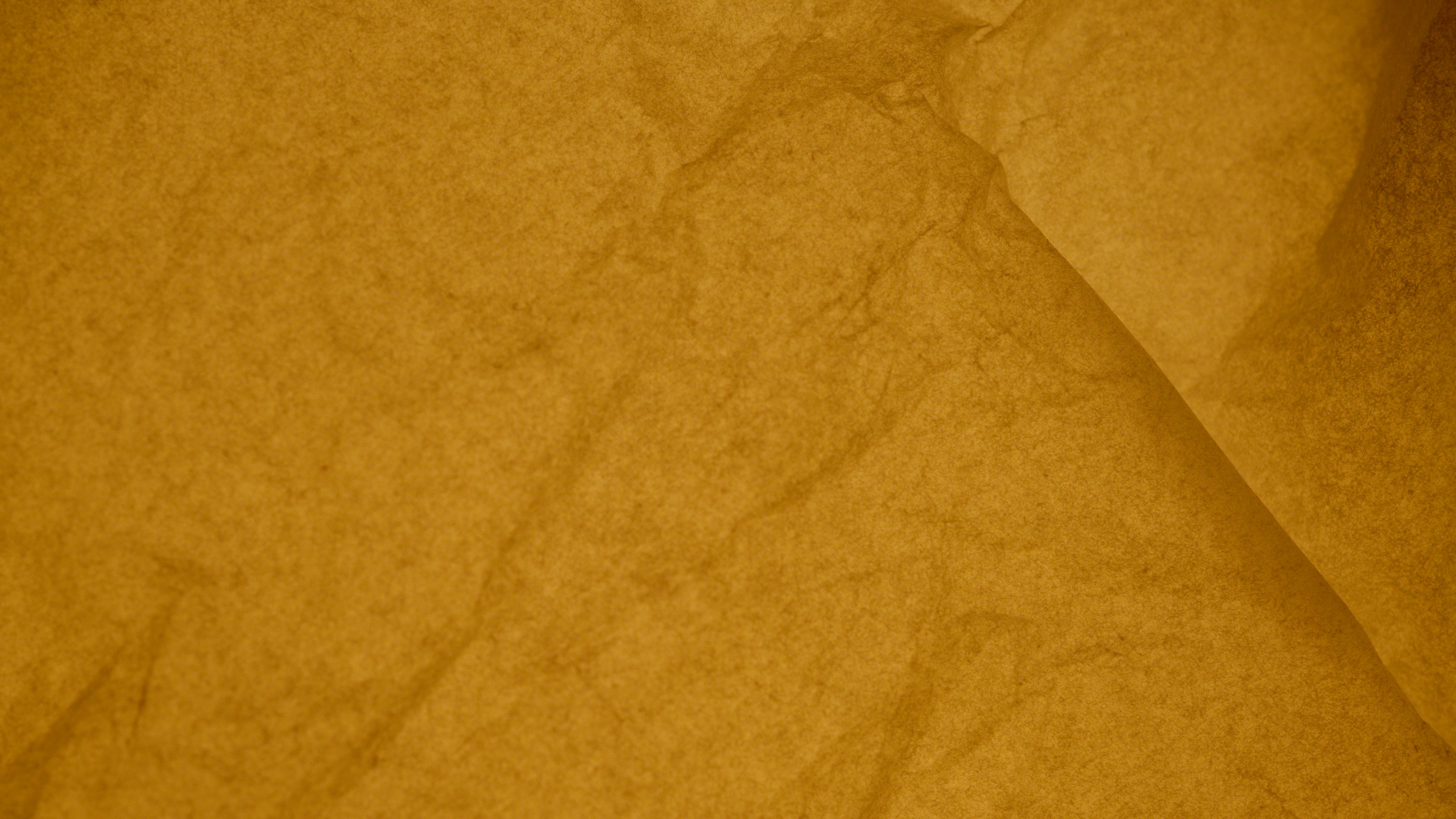 Crinkled Parchment Paper Stock Photo, Picture and Royalty Free Image. Image  12320918.