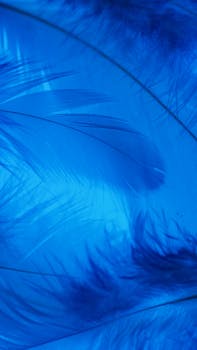 A vibrant artistic close-up of feathers with a blue background, offering great texture.