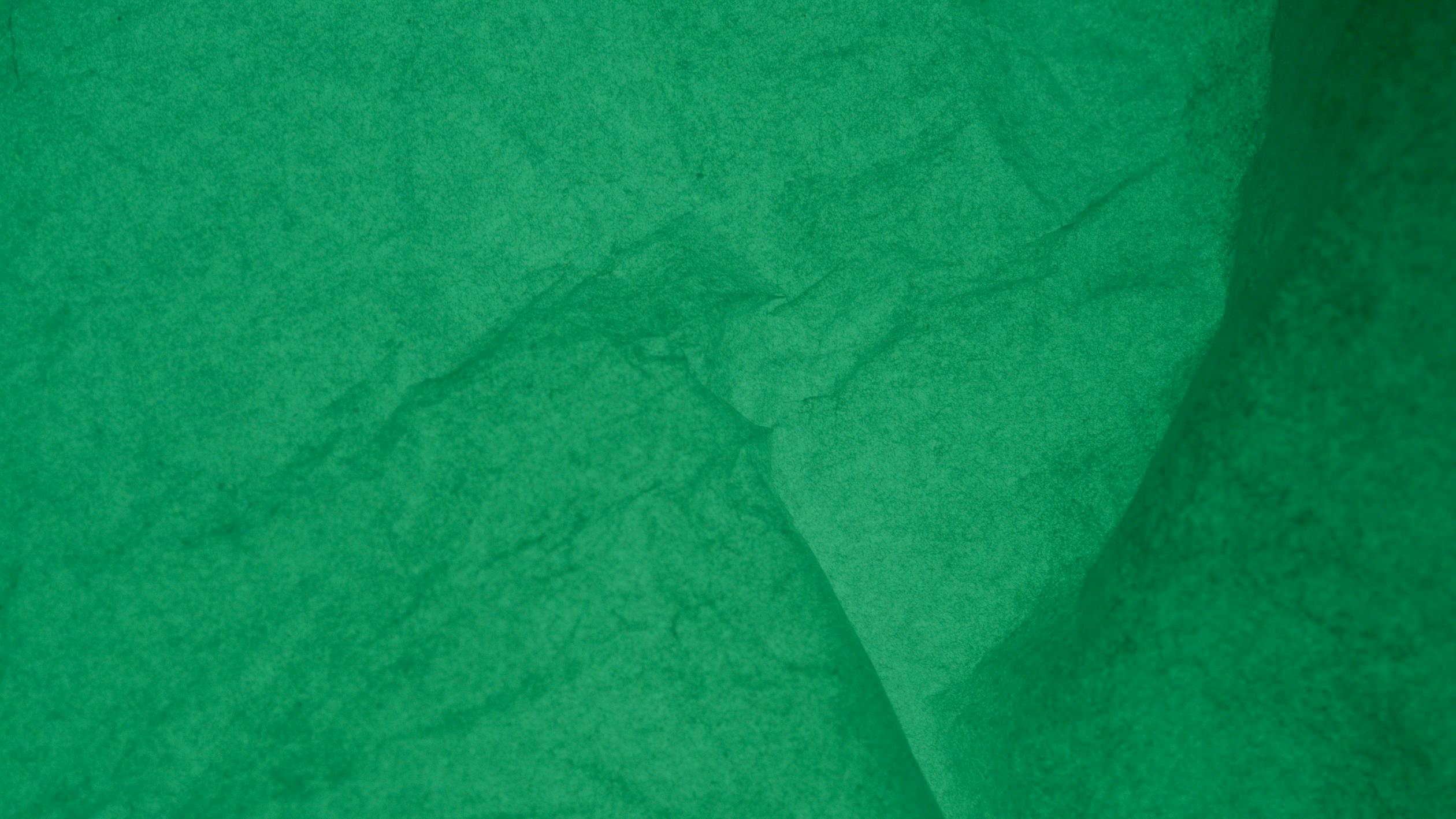Green Parchment Paper in Close-Up Photography · Free Stock Photo