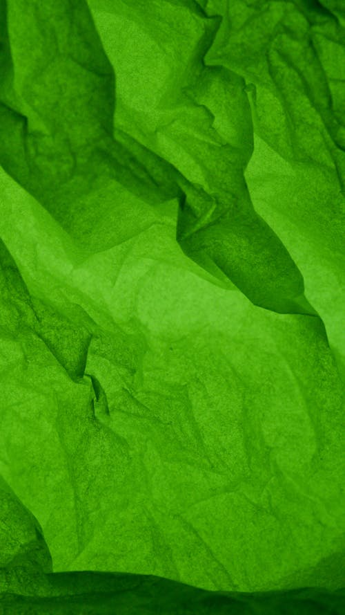 A Crumpled Green Wrapping Paper 