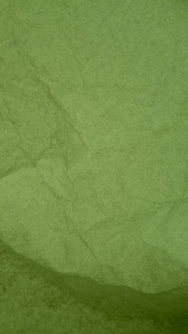 A Photo Of Green Parchment Paper