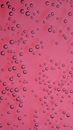 A Pink Material with Circles Outlined in Black