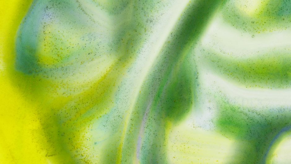 Dynamic abstract artwork showcasing a vibrant blend of green and yellow hues, creating a fluid, artistic effect.
